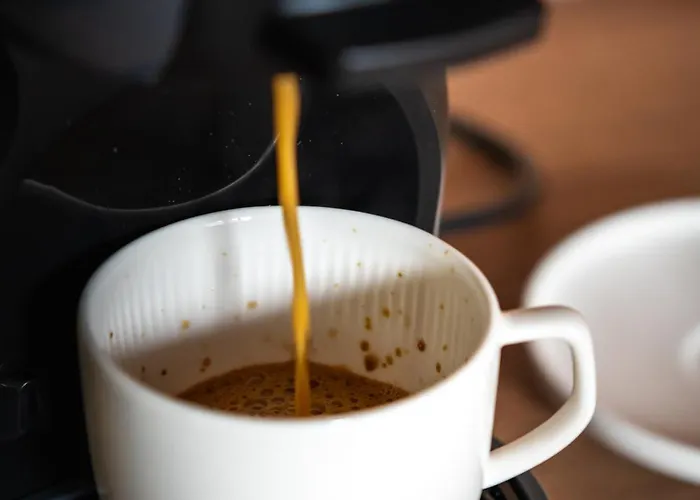 Gora Luxury Apartment *